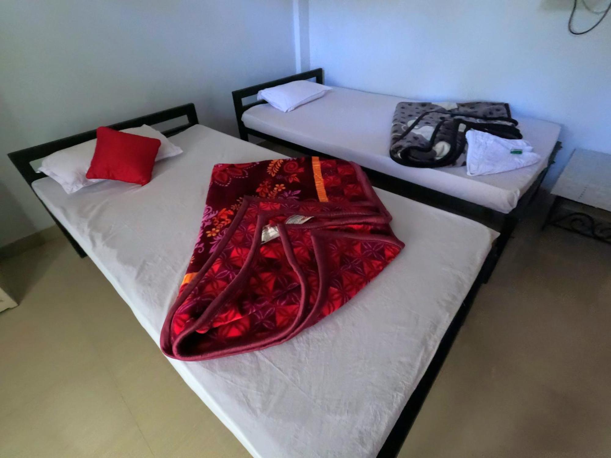 Kareng Party Camp N Homestay Казиранга Экстерьер фото